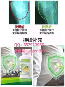 互聯網時代下的安利產品零售與招商代理新路徑